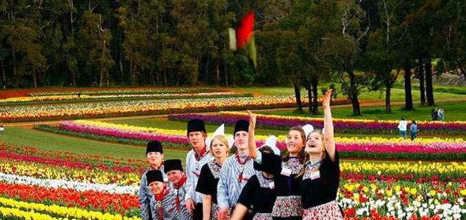 Melbourne Menguak Pesona Budaya dan Kejutan Kota Empat Musim