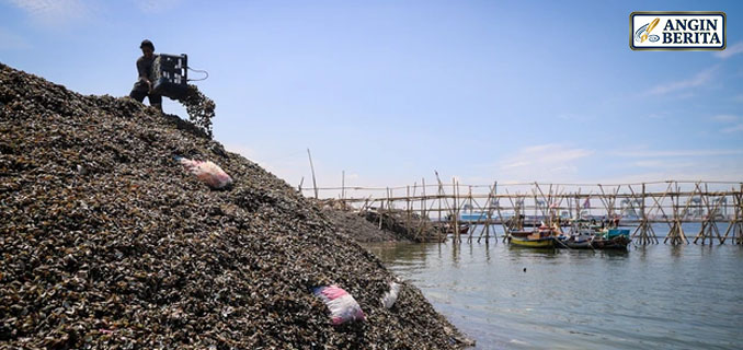 Limbah Cangkang Kerang Cemari Air dan Ganggu Ekosistem Pesisir Jakarta Utara