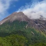 Merapi Siaga! Awan Panas Guguran Meluncur 2 Km ke Arah Barat Daya Sore Ini