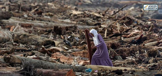 Pemerintah Usut Gelondongan Banjir Sumatera Pakai Citra Satelit