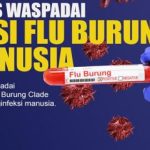 Kasus Flu Burung Naik, Kemenkes Ingatkan Warga Tetap Waspada