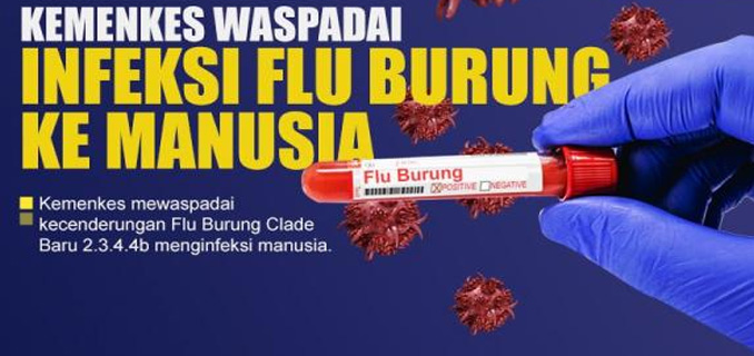 Kasus Flu Burung Naik, Kemenkes Ingatkan Warga Tetap Waspada